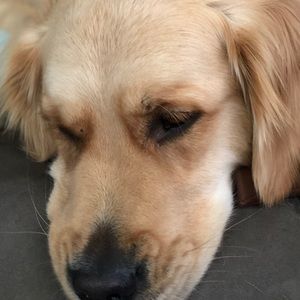 Meet your Posher, Leah